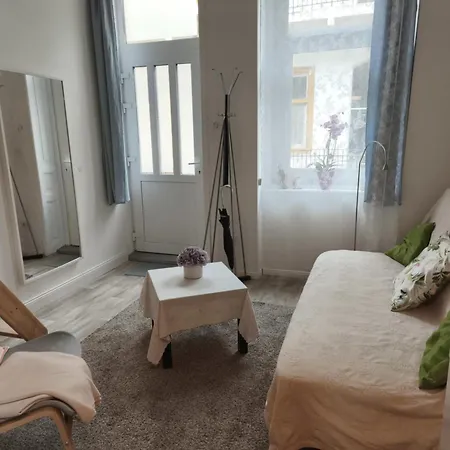 Apartament Laci And Sidi - The Sidonies Twins In 7th Budapesta